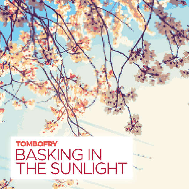 Basking in the Sunlight (Remastered)